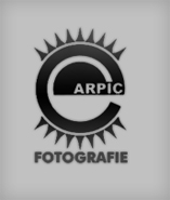 Logo arpic.de